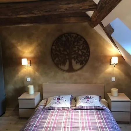 Le Logis Du Vignoble Кинцхайм