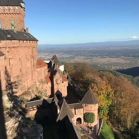 Apartament Le Logis Du Vignoble Kintzheim