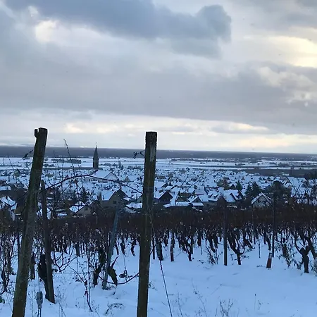 Le Logis Du Vignoble * Kintzheim
