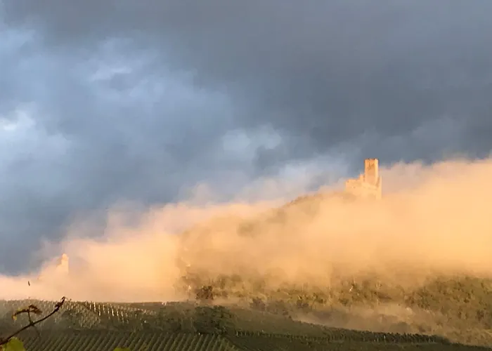 Daire Le Logis Du Vignoble
