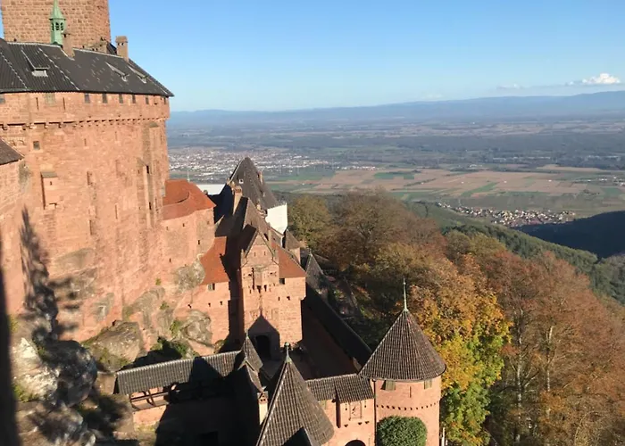 Daire Le Logis Du Vignoble Kintzheim