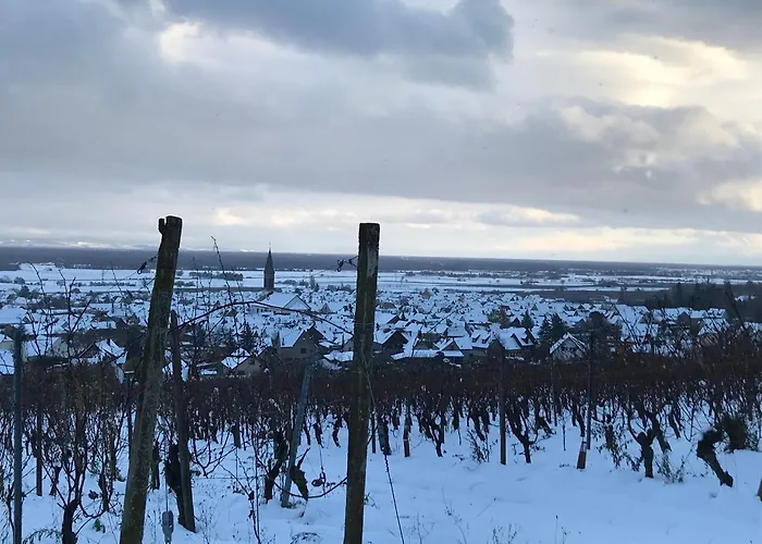 Le Logis Du Vignoble * Kintzheim